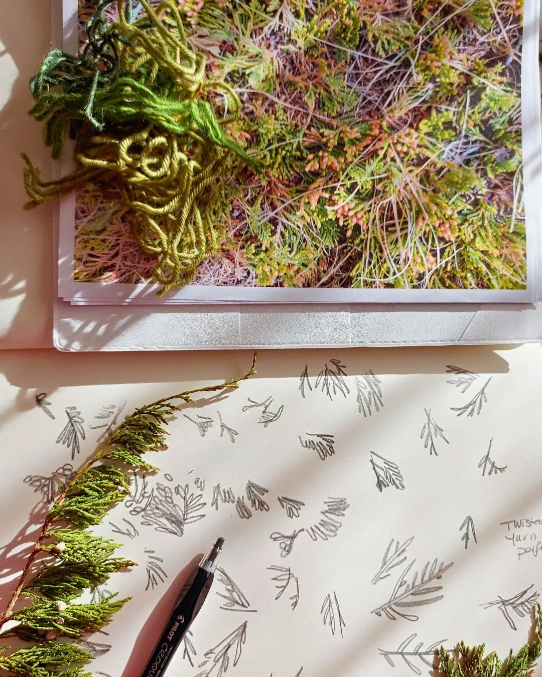 A leafy twig and pencil on top of an artist's sketchbook containing rough sketches of the twig