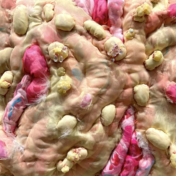 Kelly Boehmer, Chicken Skin (detail), 2022. 28cm x 28cm (11" x 11"). Hand stitch. Yarn, organza, feather boa, beads, canvas.