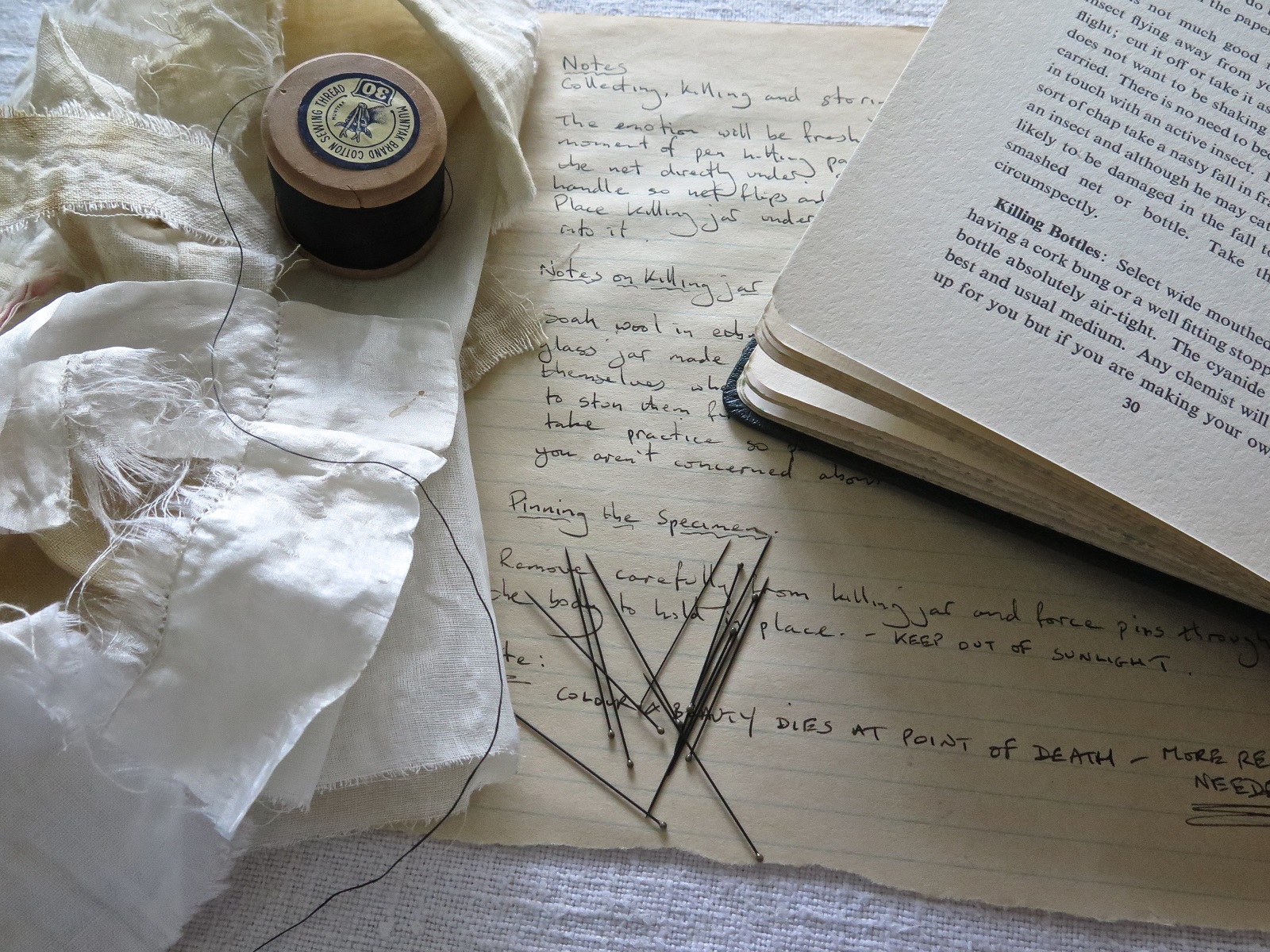 Ali Ferguson: Creating imagined notes from my research