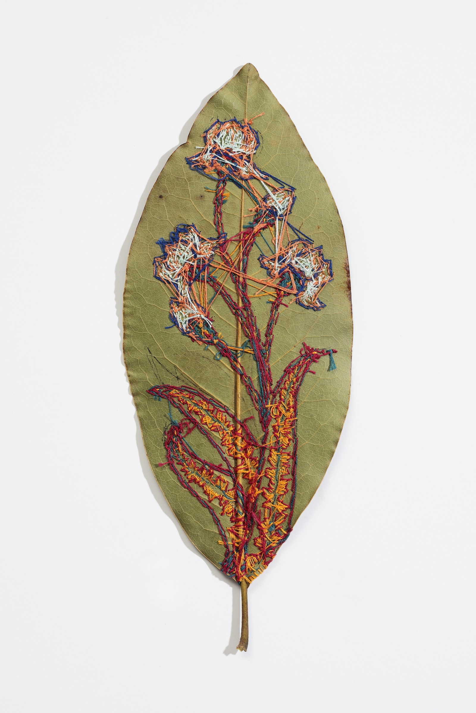 Hillary Waters Fayle, Blooms for Grace (back detail), 2020. Each leaf is approximately 28cm x 11cm (11" x 4½"). Couching. Embroidery thread, magnolia leaf. Photo: David Hunter Hale