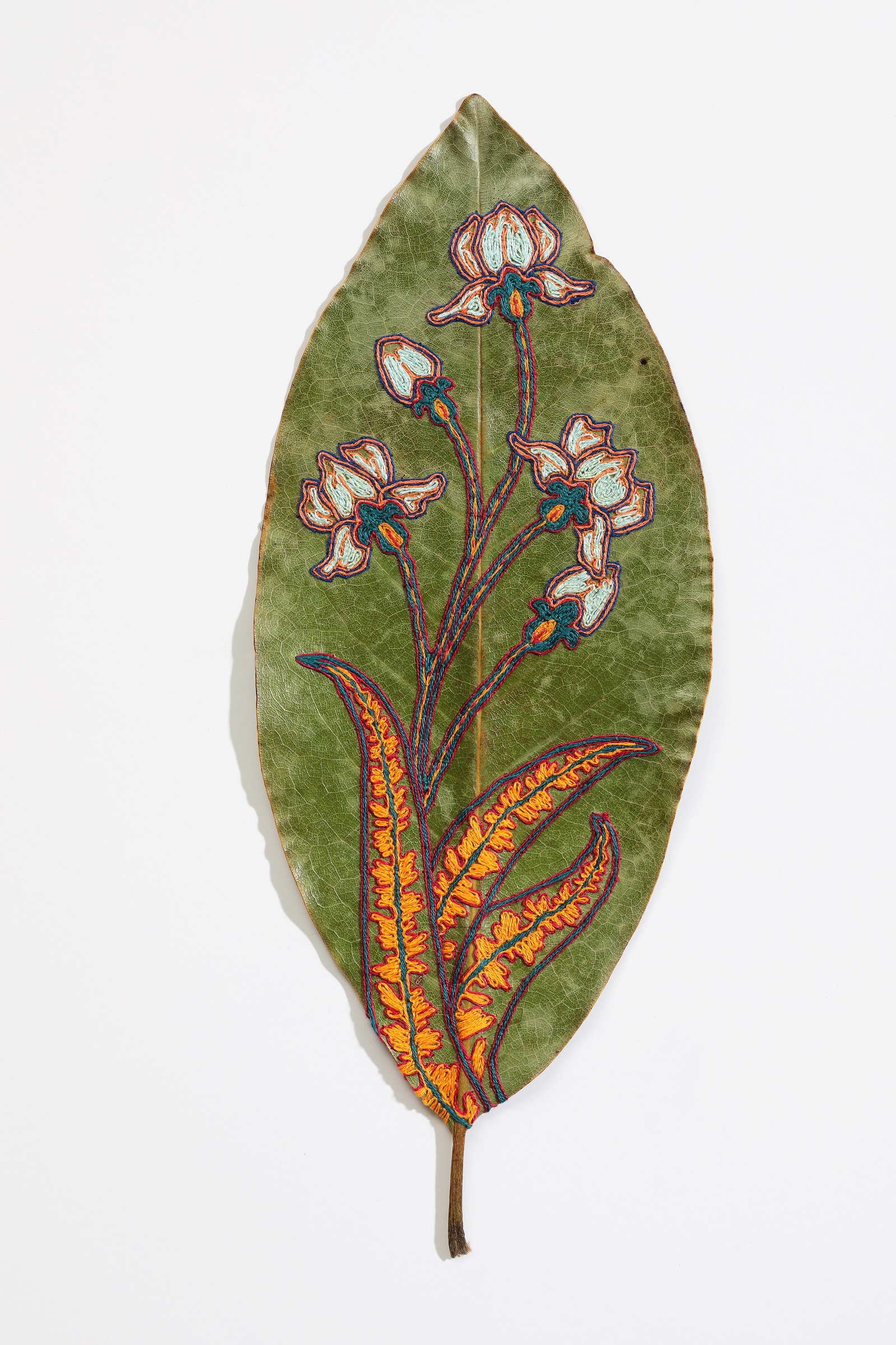 Hillary Waters Fayle, Blooms for Grace (front and back detail), 2020. Each leaf is approximately 28cm x 11cm (11" x 4½"). Couching. Embroidery thread, magnolia leaf. Photo: David Hunter Hale