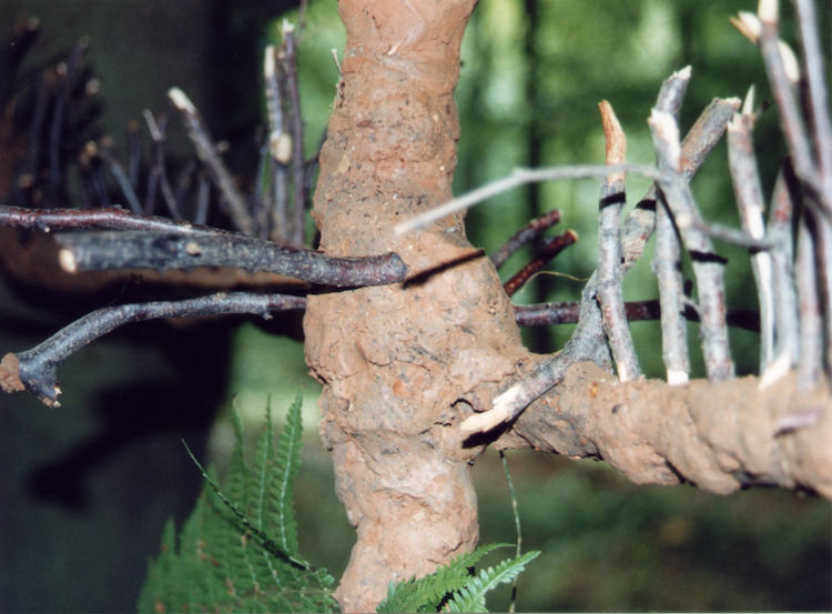 Clay and Wood (detail), secondary school, Kings Wood (2002)