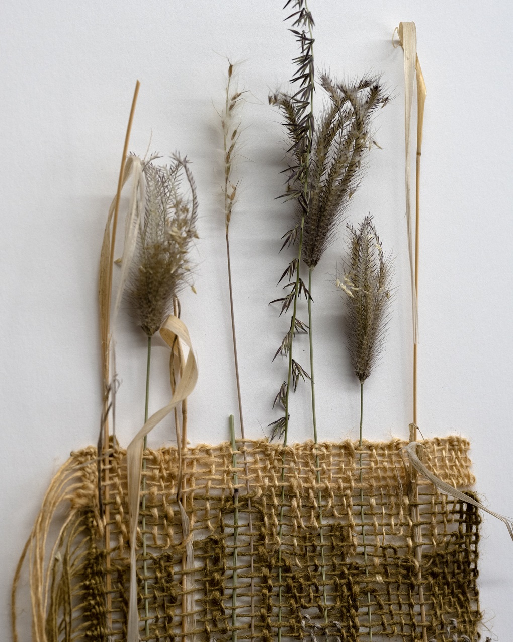 Molly Elkind, Woven Grass Study (detail), 2022. 48cm x 17cm (19” x 6.5”). Weaving. Linen, native New Mexico grasses. Photo: Sam Elkind