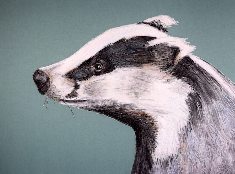 Gillian Bates, Badger