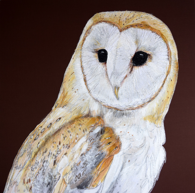 Gillian Bates, Barn Owl