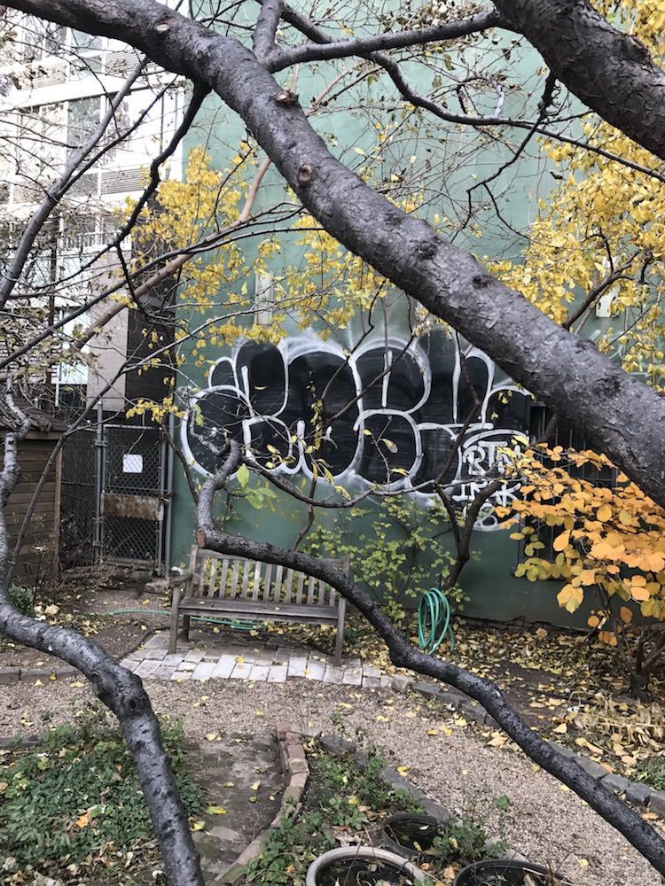 Ian Berry, Example of NY Community Garden