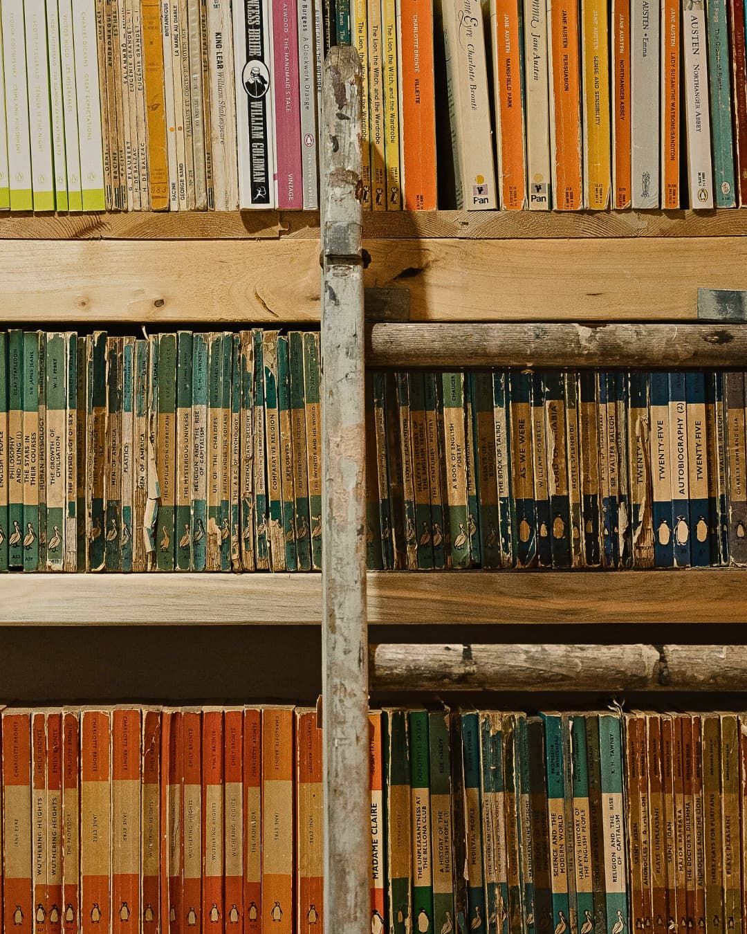 a shelf with books on it and a library ladder