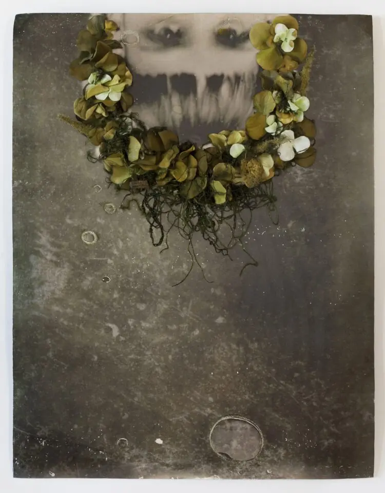 Jodi Colella: Uprooted, 2019, 24 h x 18 w inches, An original tintype that is enlarged and transferred onto aluminum and then embroidered with artificial flowers and silk threads