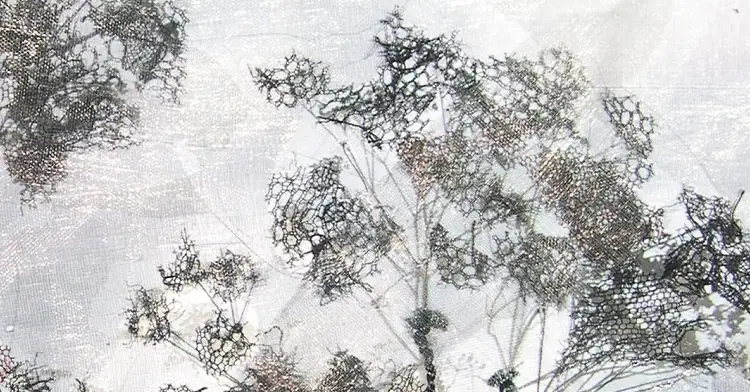 Julia van den Bosch: Hedge parsley on Ham lands