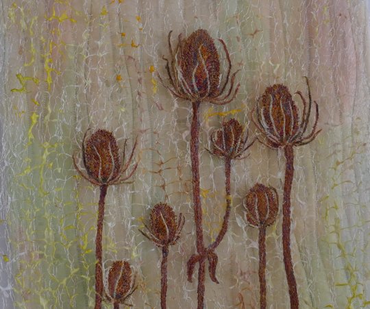 Liz Heywood - Teasels