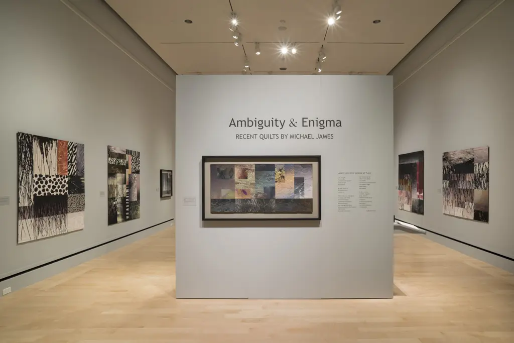 Michael James: Ambiguity & Enigma, 2015