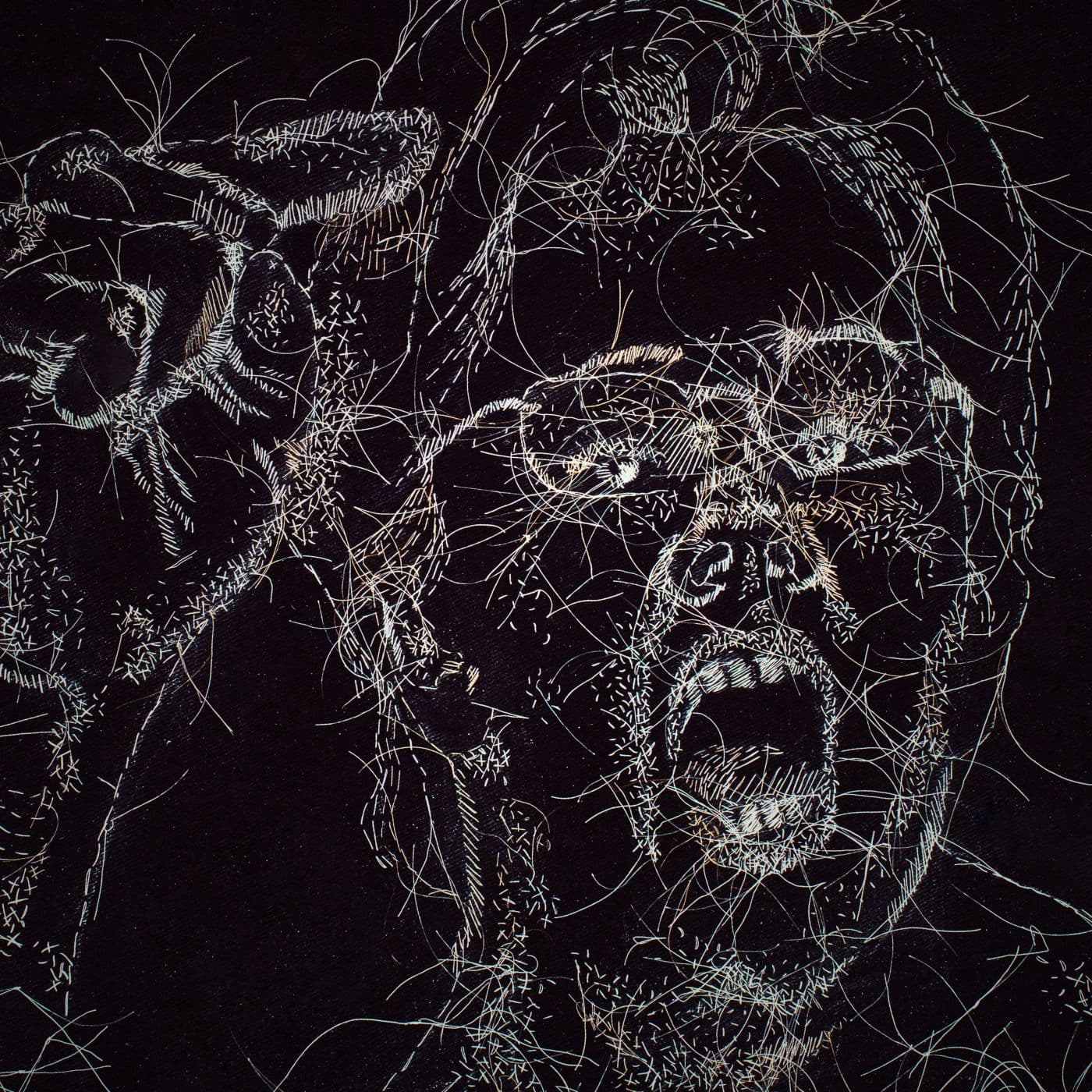 A stitched artwork of a person with their mouth open, using their voice.