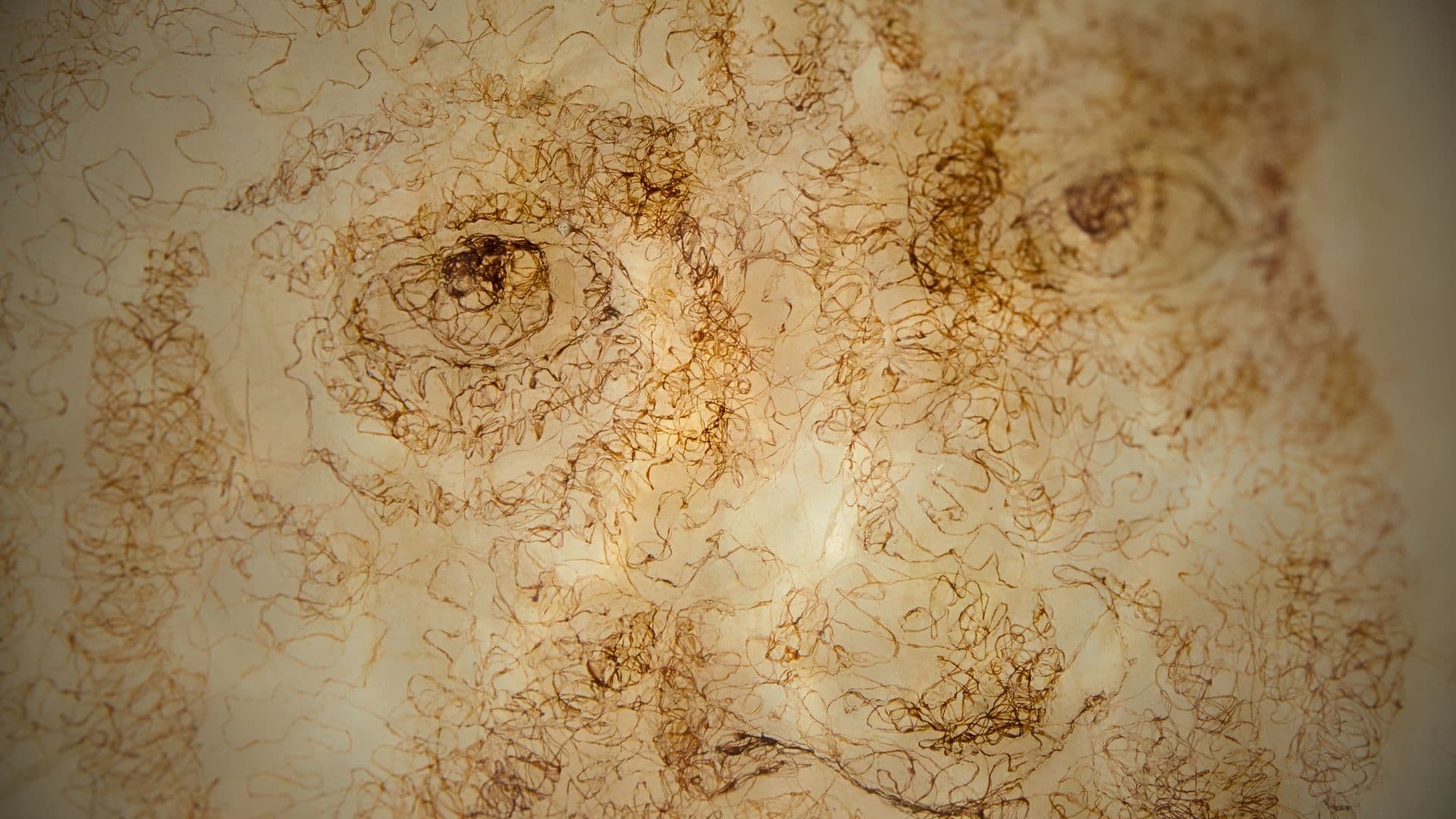 A close up of a portrait stitched in human hair. 