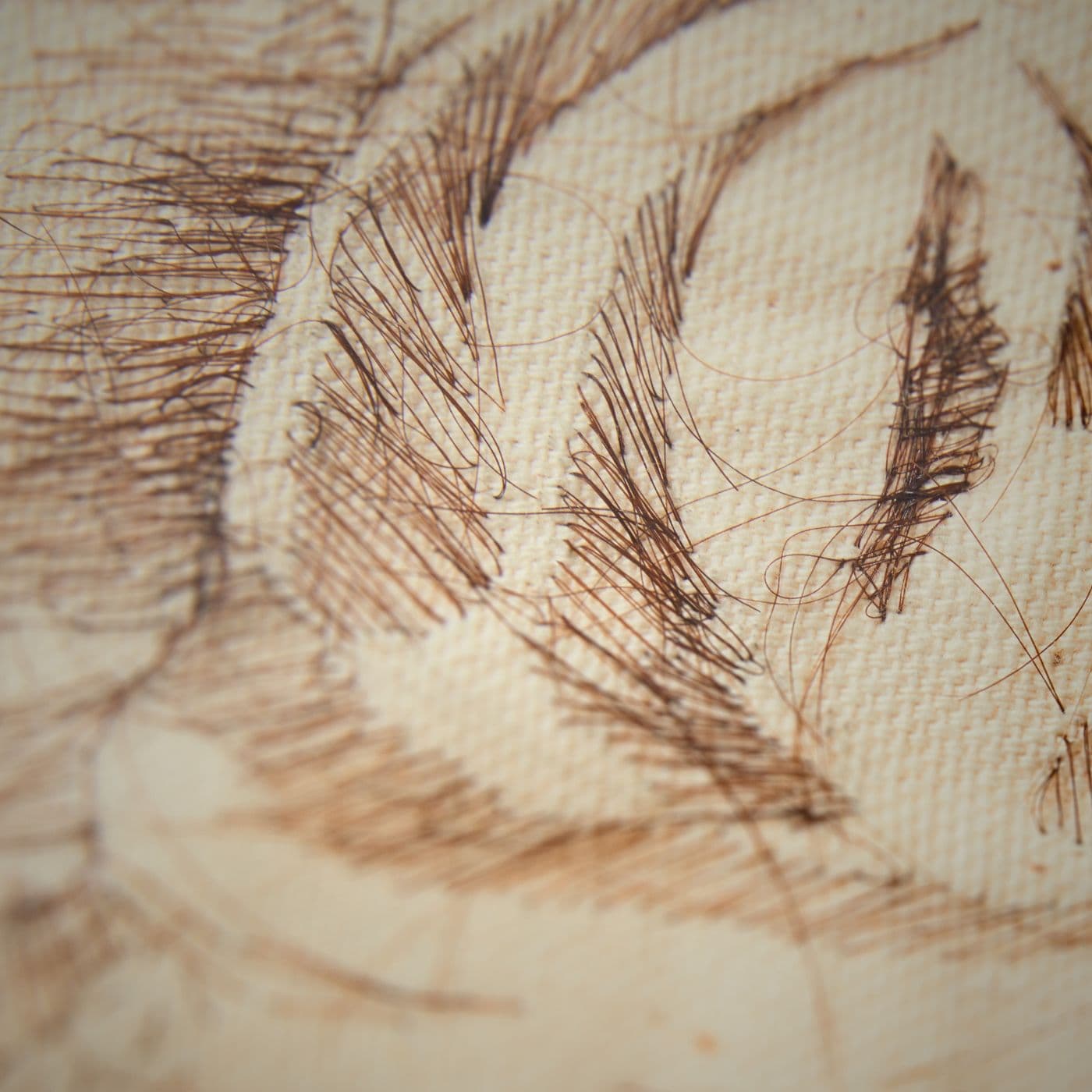 A close up of a hand-stitched artwork: hair on a fabric