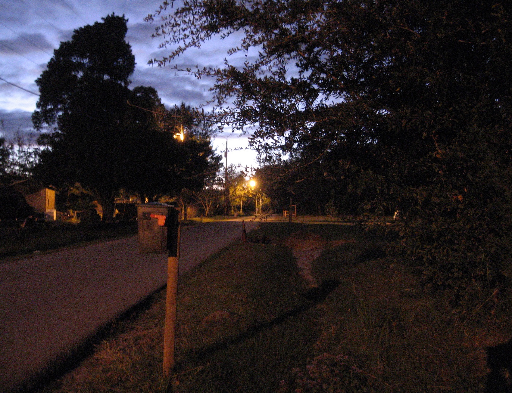 Ruth Miller: View from my driveway , 2009