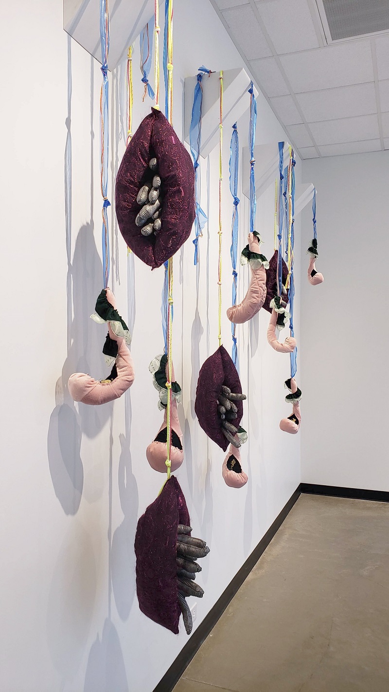 Meghan Rowswell: Shrimp N' Lips, 2019, 18' x 8' x 2', Sewn Fabric, Thread, Fluff, Pool Plastic